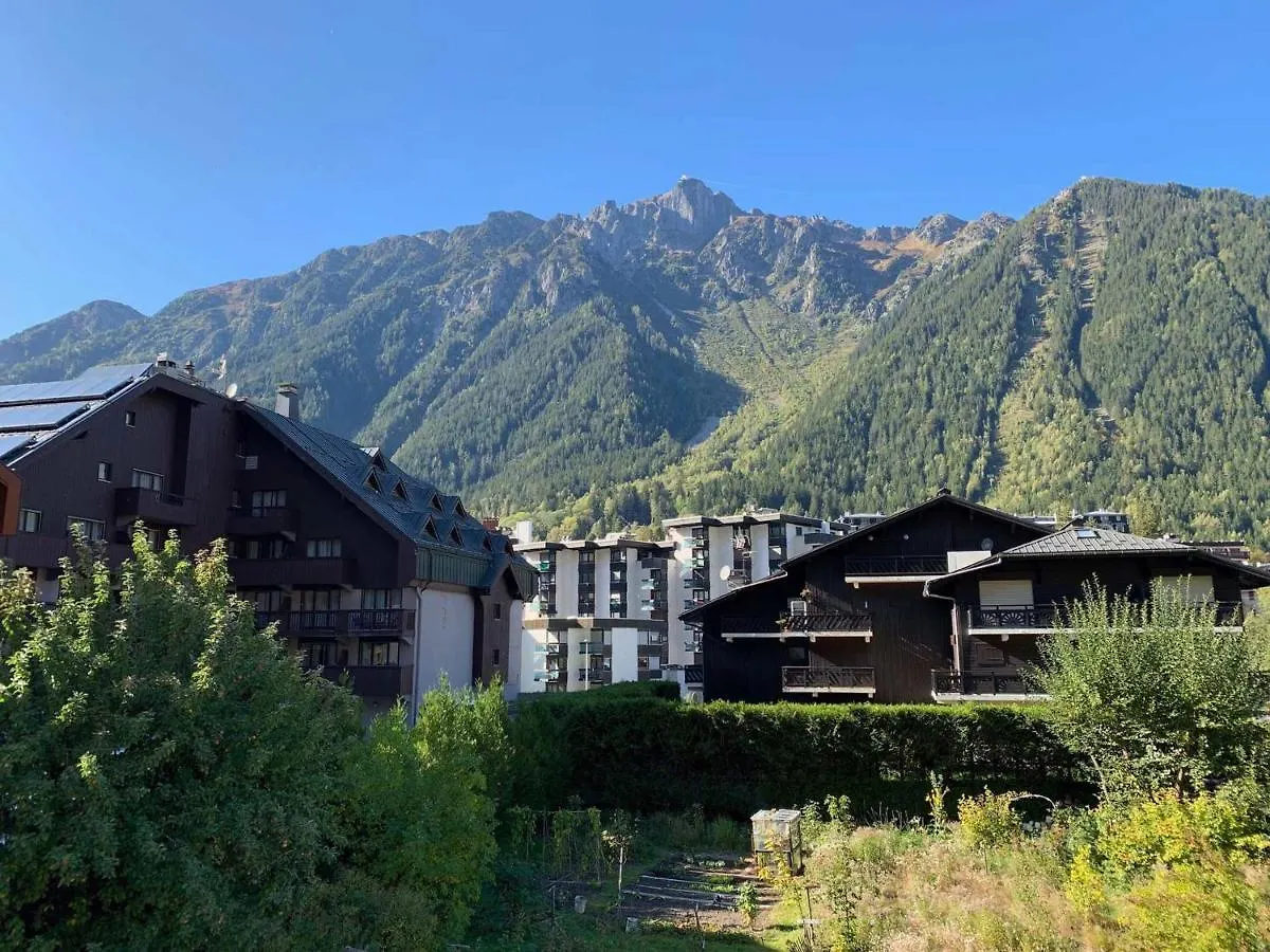 Apartment Appartement Neuf Et Equipe Au Centre De Chamonix - Fr-1-343-220